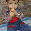 artsolreza