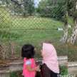 indyraasha