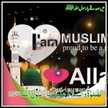 Amin Naja