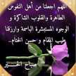 Mohamed Mohamed