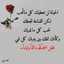 Bebo Alblbisi