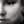 Marjorie 