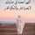 oum mouayed