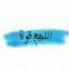 Nour Alkouz 