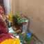 Madhu sethi 