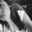 Melissa Lamon Melissa Lamon