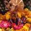 Krishna garg