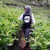 Vina Himatur