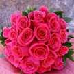 Sheetal R Daryanani