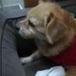 Lola