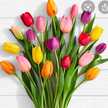 Abeer Amin