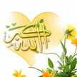 ام سيف الدين