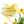 ام سيف الدين