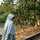 na_mahfida na_mahfida