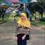 Dwi A