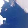 Fran★