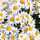 Manal Elsayed Manal Elsayed