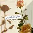 Ysoor Naji