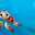 Neny 
