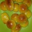 puspa
