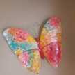 Cook butterfly 