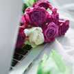 Fatima Al Refaee