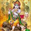 Shaily Pandey