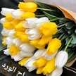 رانية جعفر زلفو