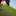 Fadiya_ Heidaridokht 82