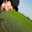 Fadiya_ Heidaridokht 82