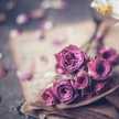 أم نوفل🌹