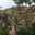 Rulia Ma'mun
