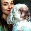 Littledoglover