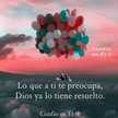 Laila Conce