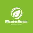 Mentesfinom