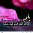 ام عمر 