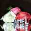Amel Benz
