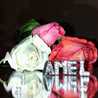 Amel Benz