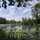 Supergreentransition Supergreentransition