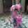 seema Joshi