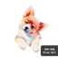 FoxeyA123