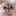 qll776