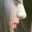 Fateme