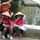 Widi Astuti Widi Astuti