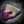 nouuno