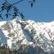 Charvi