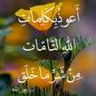 دموع الورد