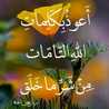 دموع الورد