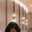 Febby Zhou