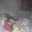 Ivana Ines Senol